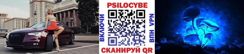 Псилоцибиновые грибы Cubensis  что такое   Лакинск 