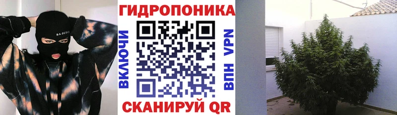 Конопля марихуана Лакинск